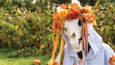 جمجمة الحصان.. أغرب تقاليد احتفالات عيد الميلاد