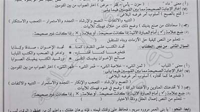 «تعليم الإسكندرية» تنفي تسريب امتحان اللغة العربية للإعدادية 