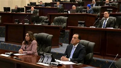 رئيس الوزراء يتابع تنفيذ تكليفات الرئيس بالتخطيط لإدارة الأزمات بالمحافظات 