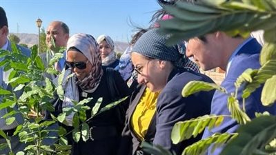 وزارة البيئة تطلق حملة كبري لزراعة 2000 شجرة بمدينة الغردقة 