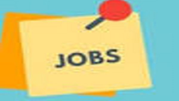 وظائف خالية في القاهرة والغربية 2026 