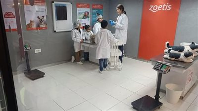 التضامن الاجتماعي تنظم يوم ترفيهي لأطفال أبناء مصر من مؤسسات الرعاية الاجتماعية