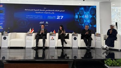 «المشاط» خلال ندوة مركز «دعم اتخاذ القرار»: الذكاء الاصطناعي داعم للتنمية المستدامة 
