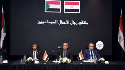 هيئة الاستثمار: المناطق الحرة في جنوب مصر تحقق ميزة تنافسية للصناعات السودانية