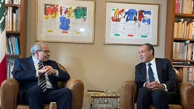 «عبدالعاطي» يؤكد على الموقف المصري الداعم لتنفيذ اتفاق وقف الأعمال العدائية بجنوب لبنان