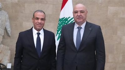 عبدالعاطي: مصر تُثمن عاليًا خطوة انتخاب رئيس الجمهورية اللبنانية