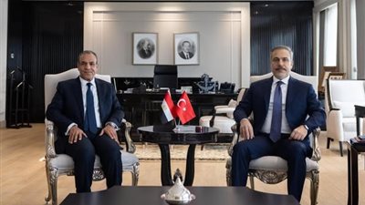 وزيرا خارجية مصر وتركيا يؤكدان رفضهما لأي مساس بحقوق الفلسطينيين