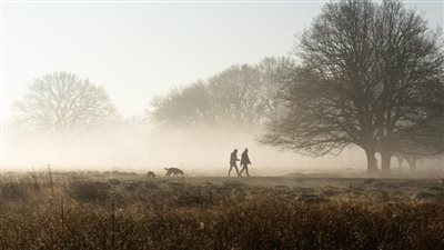 الصباح الباكر.. لماذا هو الوقت الأفضل للبشر؟