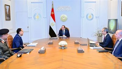 الرئيس السيسى يستعرض جهود تأهيل وتدريب الكوادر بتكنولوجيا المعلومات