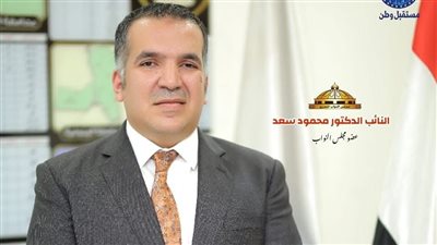 تفاصيل التشكيل الجديد لأمانة المهنيين بحزب مستقبل وطن 