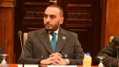 حقوق الإنسان بالبرلمان: التضامن تقوم بجهود كبيرة لدعم الأسر الأكثر احتياجًا ولكن لا تزال هناك تحديات