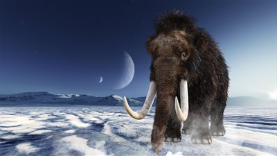 باحثون يسعون إلى إعادة الماموث إلى الحياة مرة أخرى