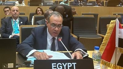 تفاصيل كلمة مصر في اجتماع المجلس التنفيذي للاتحاد الإفريقي
