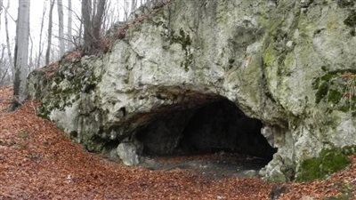 حفريات الكهوف تظهر مفاجآة عن أول من أكل لحوم البشر