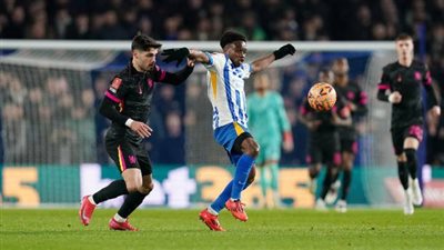 برايتون يستضيف تشيلسي في الدوري الإنجليزي 