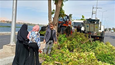 بالصور.. رفع 15 طنا من التراكمات والأتربة بطريق المسار السياحي بالأقصر
