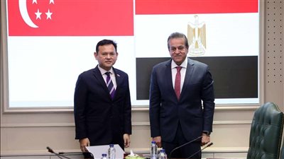 مصر وسنغافورة تبحثان التعاون في دعم الجهود الإغاثية للأشقاء الفلسطينيين