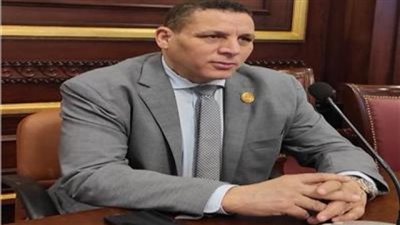 عضو بمجلس الشيوخ: نجاح الجهود المصرية القطرية لإدخال معدات إعمار غزة يعزز الصمود الفلسطيني