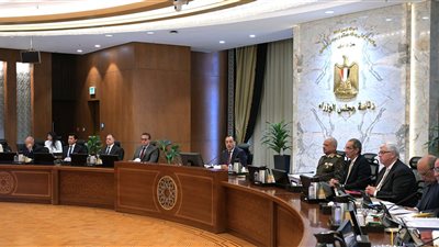 «مدبولى»: الدولة تواصل مساعيها وتبذل قصارى جهودها لتثبيت اتفاق وقف النار في غزة 