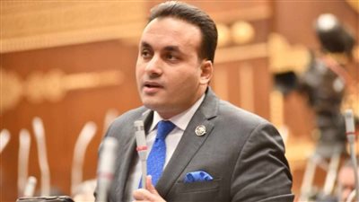 عضو بمجلس النواب: القمة العربية الطارئة تحفظ حقوق وكرامة المواطن الفلسطيني والعربي