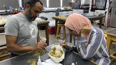 نائب رئيس جامعة المنصورة: مركز الحفريات الفقارية الوحيد من نوعه بالشرق الأوسط