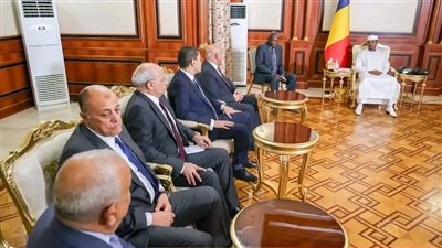 تفاصيل لقاء كامل الوزير ووفد شركات القطاع العام والخاص لمشروعات البنية التحتية برئيس التشاد