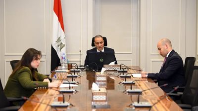 وزير الخارجية يشارك في اللقاء الافتراضى مع الجالية المصرية في فرنسا