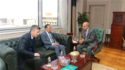 وزير الكهرباء: الدولة أعادت بناء البنية التحتية والتشريعية لتشجيع للقطاع الخاص للاستثمار بالطاقة المتجددة