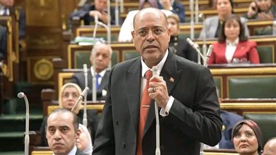 وزير العمل أمام مجلس النواب: الحكومة حريصة على قانون عمل يراعي المعايير الدولية