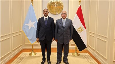 وزير العدل يبحث مع نظيره الصومالي التعاون والاستفادة من مشروعات الوزارة الرقمية