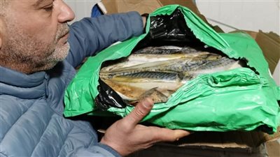 بحملة مكبرة.. ضبط نصف طن أسماك فاسدة بمركز الشهداء