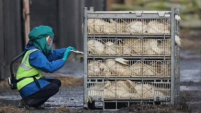 عالم تنبأ بفيروس كورونا يتوقع فيروس أشد خطورة