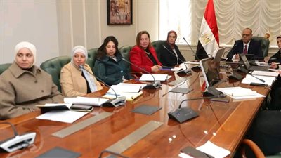 وزير العمل: سد الفجوات بالأجور بين الذكور والإناث ضمن خطة المساواة بين الجنسين 