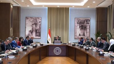 رئيس الوزراء يتابع جهود الحد من عمليات التهريب وإغراق الأسواق المصرية