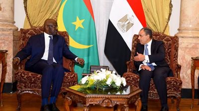 تفاصيل لقاء وزير الخارجية والهجرة ونظيره الموريتاني