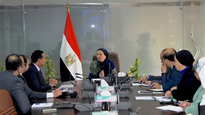 وزيرة البيئة تلتقي مع مدير مكتب مصر لبرنامج الأمم المتحدة للمستوطنات البشرية 