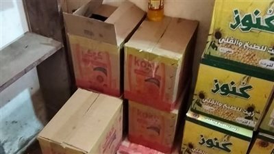 حملة تفتيشية موسعة على مركزي السنطة وزفتى تضبط مخالفات بالجملة