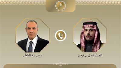 وزير الخارجية ونظيره السعودي يبحثان خطة إعادة الإعمار في غزة