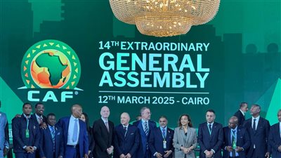 رسميا.. أبو ريدة يحتفظ لمصر بمقعدها في فيفا