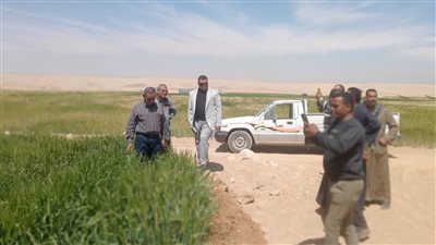 بالصور.. معاينة واسترداد حالات التعدى على أراضي أملاك الدولة بالأقصر
