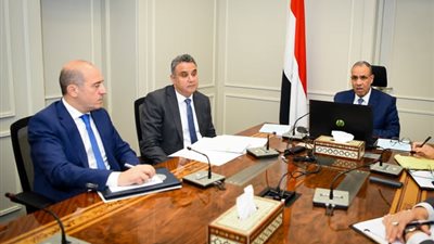 وزير الخارجية والهجرة يعقد اجتماعاً افتراضياً مع سفراء مصر بالخارج