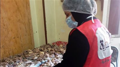 قومى المرأة بأسوان يواصل توزيع 500 وجبة غذائية بقرى إدفو