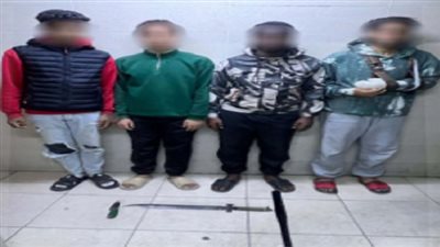 «حفلة تنمر» تنتهي بحرب شوارع في الإسماعلية والداخلية تفض الاشتباك وتضبط المتورطين