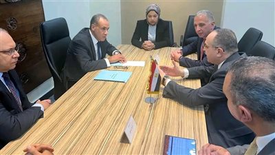 وزير الخارجية يجتمع مع مسؤولي شركتي التحالف المصري المُنفذ لسد «جوليوس نيريري» بتنزانيا