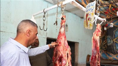 محافظ أسوان يتابع توافر السلع الغذائية بمعرض «أهلًا رمضان»