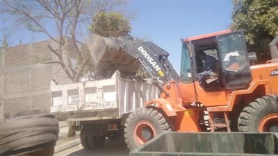 بالصور.. حملة نظافة موسعة لرفع الأتربة والمخلفات الصلبة في الأقصر