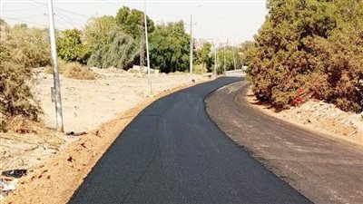 الملوانى: تنفيذ خطة الرصف بنسبة 87 % فى أسوان