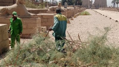 بالصور.. رفع 7 من المخلفات والأتربة في حملة نظافة موسعة بالأقصر