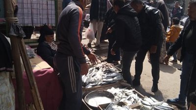 حملة لرفع الإشغالات بشوارع طلخا في الدقهلية