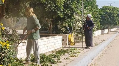 استعدادا لاستقبال عيد الفطر.. حملات موسعة لتجميل شوارع أسوان